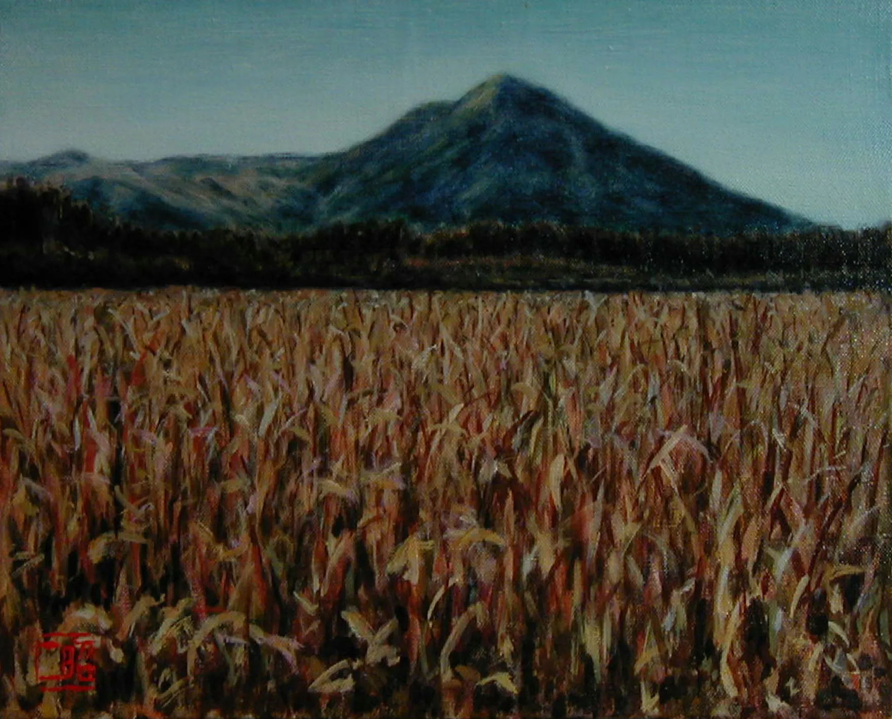 涌蓋山・千無田で